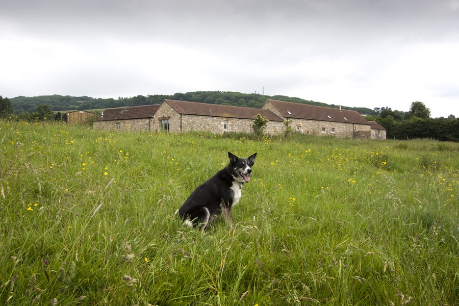 Holiday Cottage Bath on New Leaf Farm - The Seed Shed3